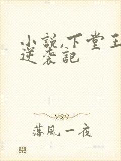 小说,下堂王妃逆袭记