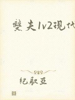 双夫1v2现代