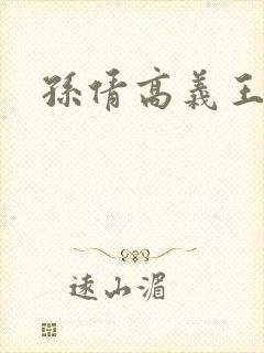 孙倩高义王申