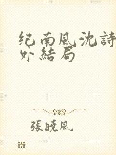 纪南风沈诗澜番外结局封面