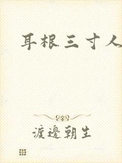 耳根三寸人间