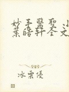 妙手医圣 小说叶皓轩全文免费阅读封面