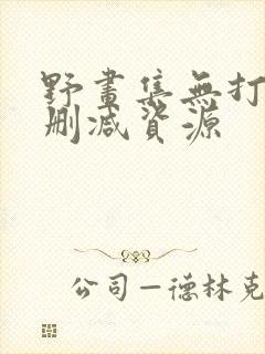 野画集无打码无删减资源封面