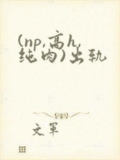 (np,高h,纯肉)出轨