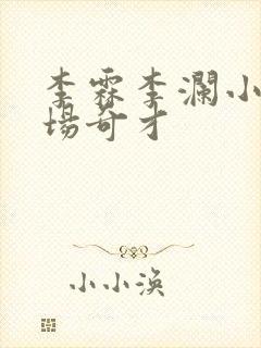 李霖李澜小说官场奇才