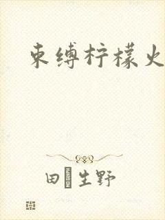 束缚柠檬火焰