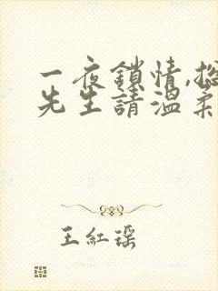 一夜锁情,总裁先生请温柔下载全本txt封面