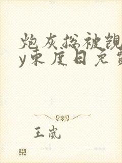 炮灰总被觊觎by东度日免费阅读笔趣阁