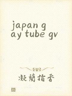 japan gay tube gv封面