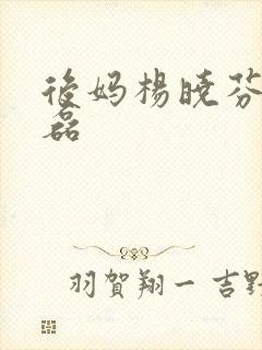 后妈杨晓芬和王磊