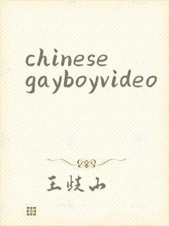 chinesegayboyvideo