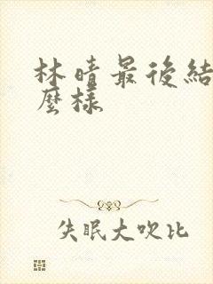 林晴最后结局怎么样封面