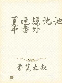 夏晚照沈池夏年年番外