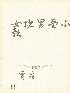 女攻男受小说调教