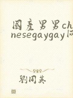 国产男男chinesegaygay网站封面