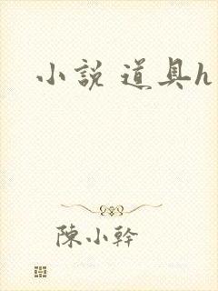 小说 道具h封面