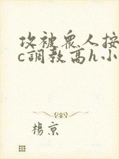 攻被众人按住狠c调教高h小说