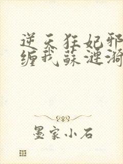 逆天狂妃邪王别缠我苏涟漪
