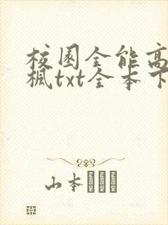 校园全能高手季枫txt全本下载