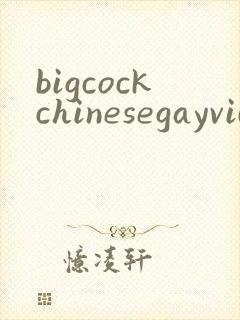bigcockchinesegayvideos