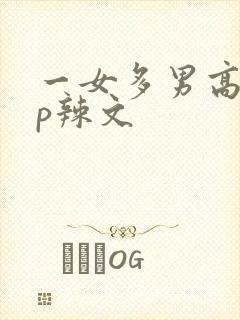 一女多男高hnp辣文