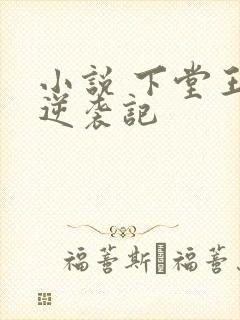 小说 下堂王妃逆袭记