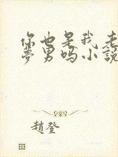 你也是我老婆的梦男吗小说