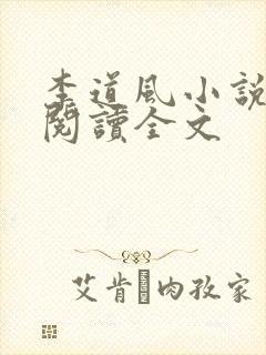 李道风小说在线阅读全文