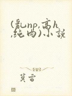 (乱np,高h,纯肉)小说