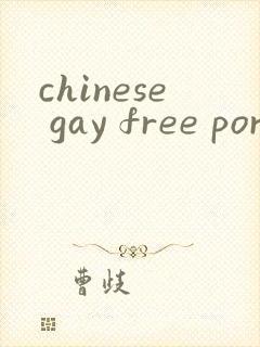 chinese gay free porn