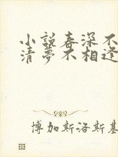小说春深不归客清梦不相逢