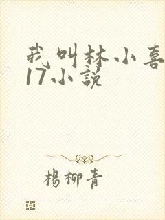 我叫林小喜今年17小说封面