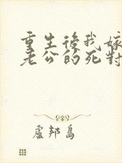 重生后我嫁给了老公的死对头 短剧