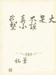 我真不是大佬完整小说