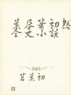 叶辰萧初然阅读全文小说封面