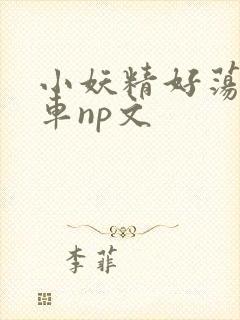 小妖精好荡h公车np文