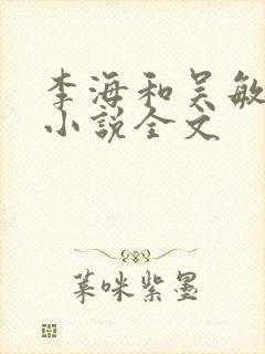 李海和吴敏静的小说全文封面