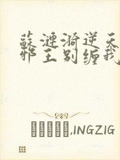 苏涟漪逆天狂妃邪王别缠我