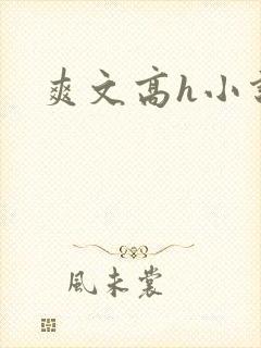 爽文高h小说