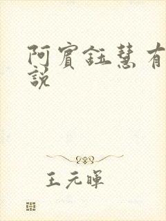 阿宾钰慧有声小说