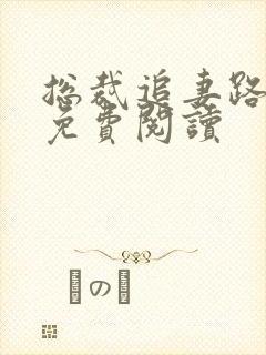 总裁追妻路漫漫免费阅读