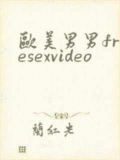 欧美男男freesexvideo