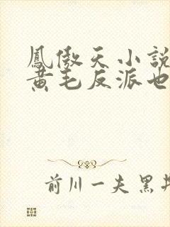 凤傲天小说里的黄毛反派也想要幸福笔趣阁封面