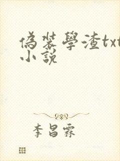 伪装学渣txt小说封面