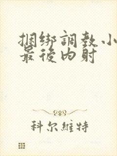 捆绑调教小萝莉最后内射