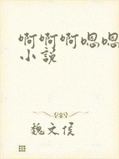 啊啊啊嗯嗯嗯h小说