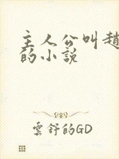 主人公叫赵凤声的小说