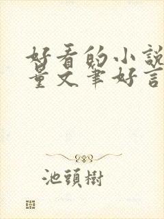 好看的小说高质量文笔好言情