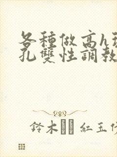 各种做高h玩尿孔双性调教
