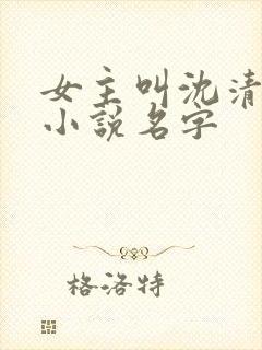 女主叫沈清禾的小说名字